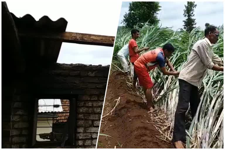 homes and crop damage due to storm and heavy rain