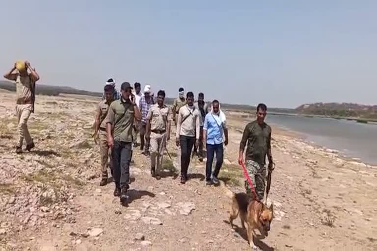 धौलपुर पुलिस  तलाशी अभियान  चंबल के बीहड़  dholpur police  search operation  Chambal's rugged  Rajasthan News  राजस्थान न्यूज  इनामी डकैत