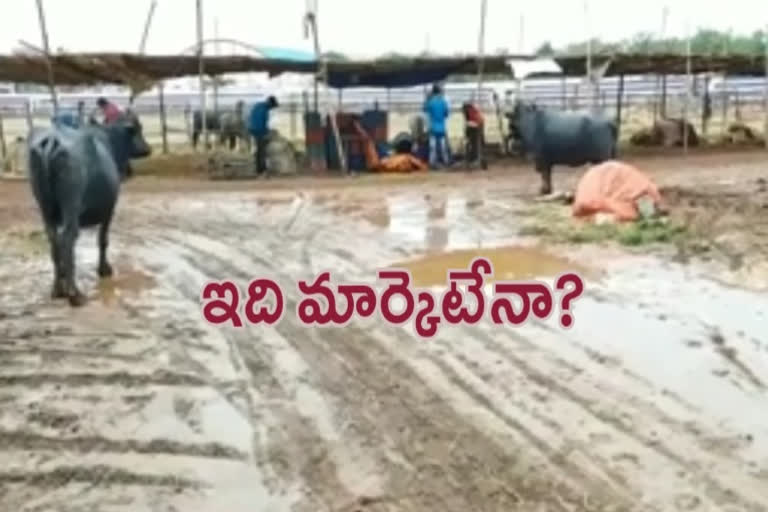 People Troubles With Karim nagar Temporary Market