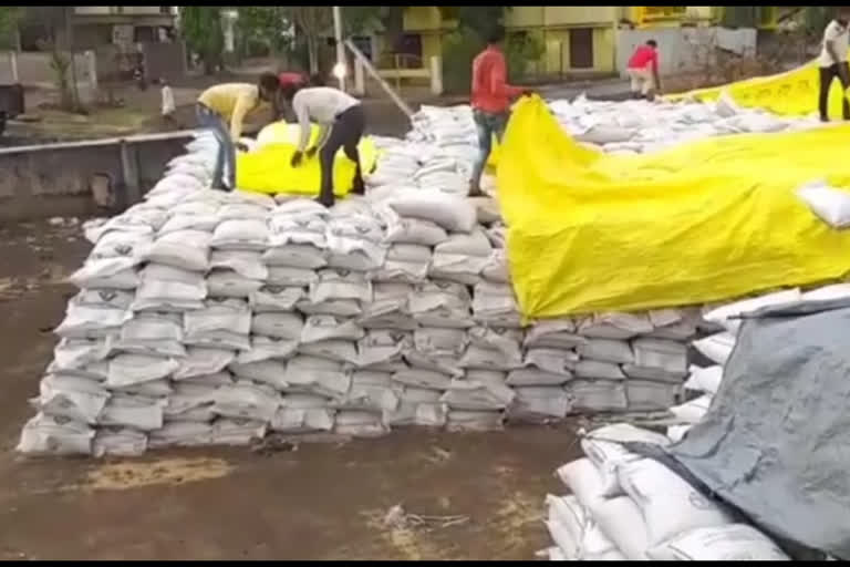 Wheat kept in cooperative society in village Dasai in Sardarpur due to sudden rain