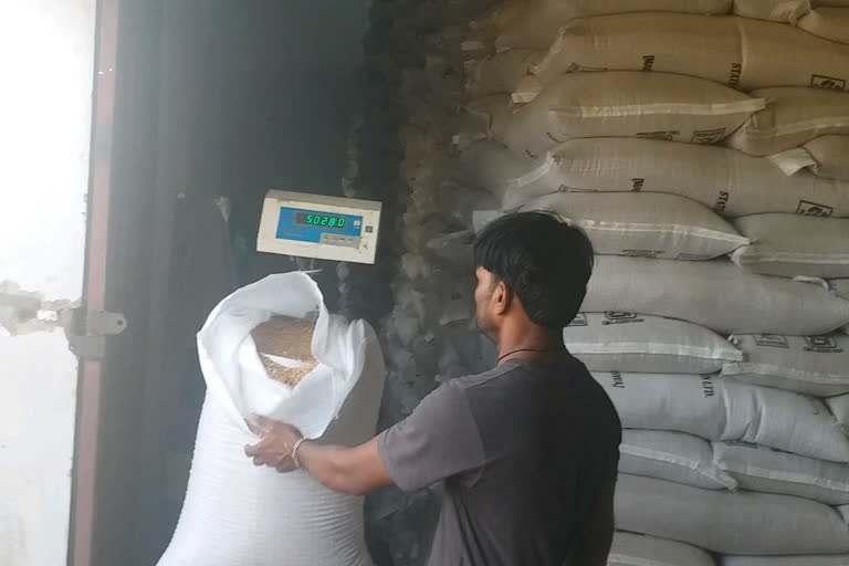 Payment was not made even after two weeks of wheat sale in mandsaur