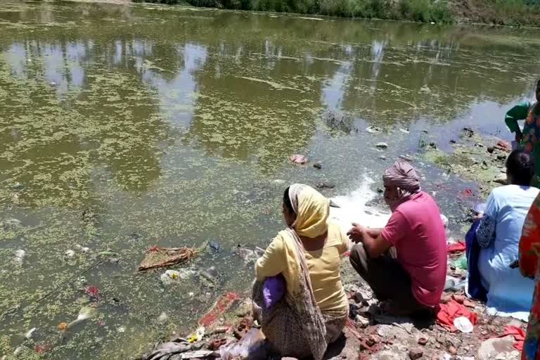 People worshiped on Ganga Dussehra in Radaur