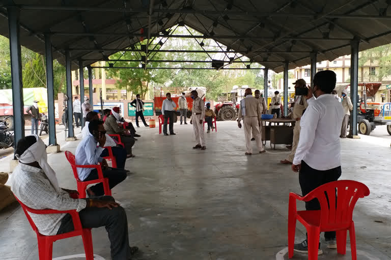 auction-of-grain-started-in-renuka-krishi-mandi-in-burhanpur