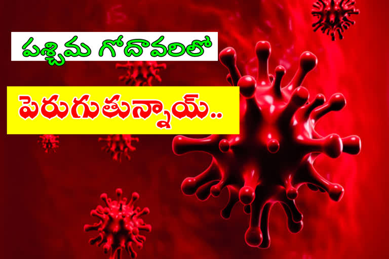 west godavari corona update