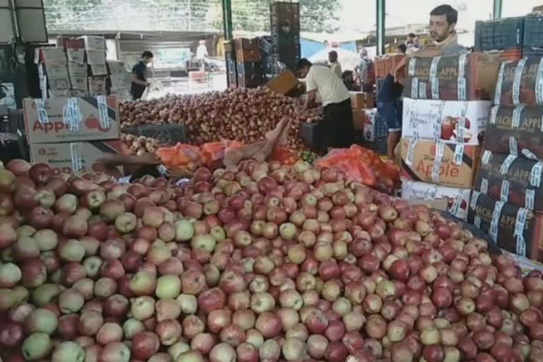 Aani SDM Chet Singh on  Apple Crop