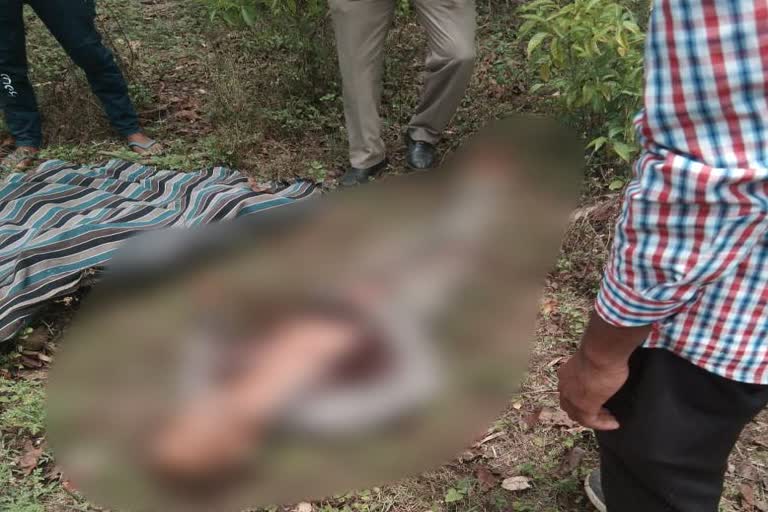 stray bull killed a person in Dehra