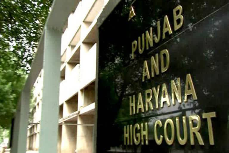 punjab haryana highcourt