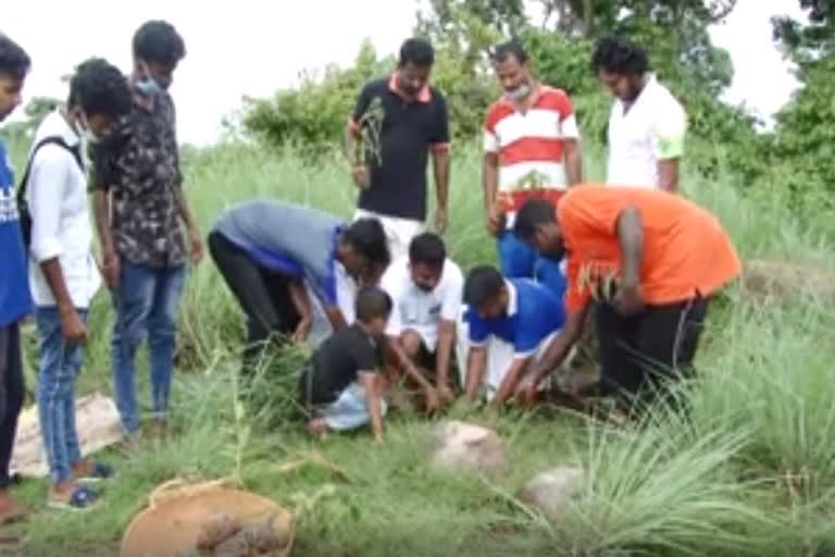 Tree Planting  poyalimala  വൃക്ഷത്തൈകൾ  ലൈബ്രറി കൂട്ടായ്‌മ  എറണാകുളം വാർത്ത