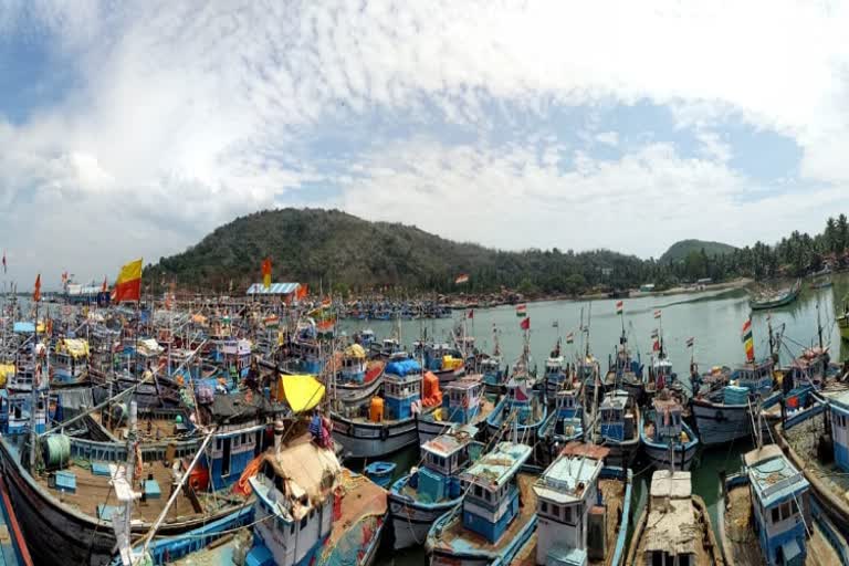 fishery stopped due to cyclone,lockdown