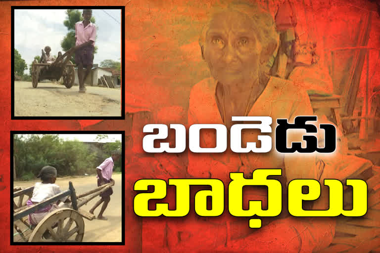 Difficulties to old peoples take aasara pensions at warangal rural district