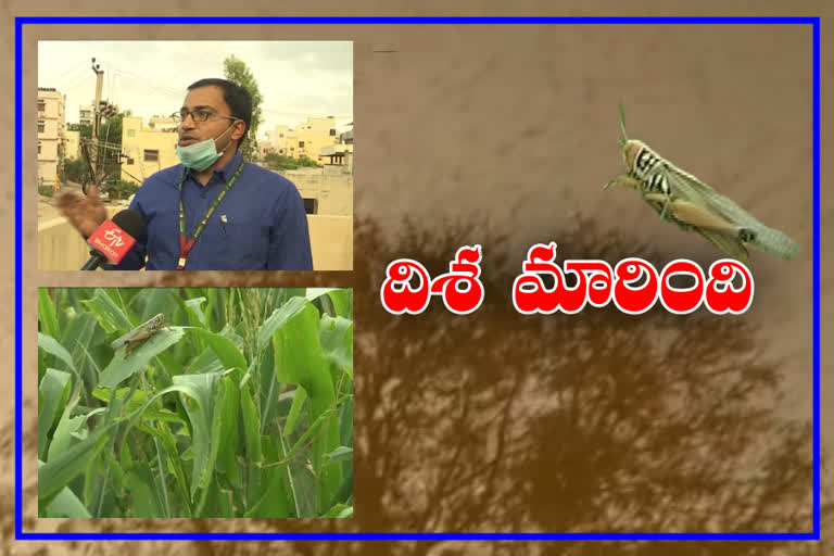 Locusts are not attack in south India reason spoke by icrisat scientist jagadeesh