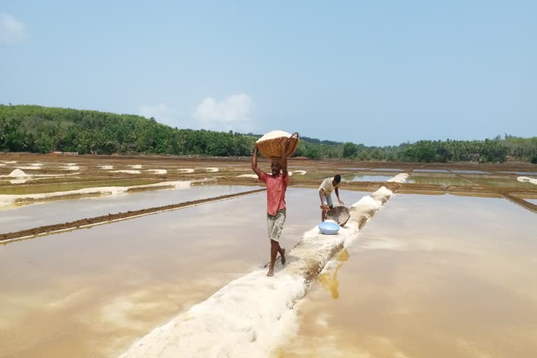 covid-19-effected-for-salt-business-in-uttara-kannda-district