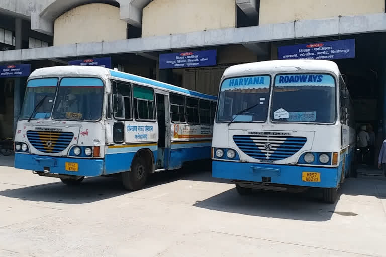 Bus service started from Sirsa to inter-state and rural areas