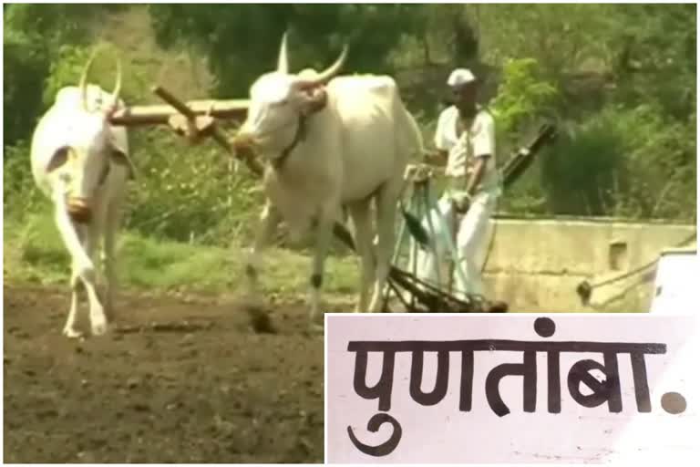 Punatamba Farmers agitation