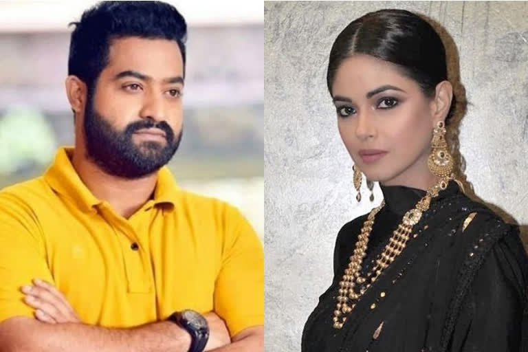 Meera Chopra receives gangrape threats by Jr NTR's fans, files cyber complaint