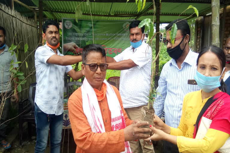 bjp-distribute-tree-plants-at-nowboicha