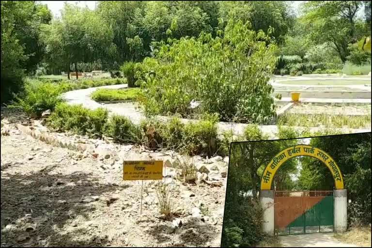 rohtak herbal park