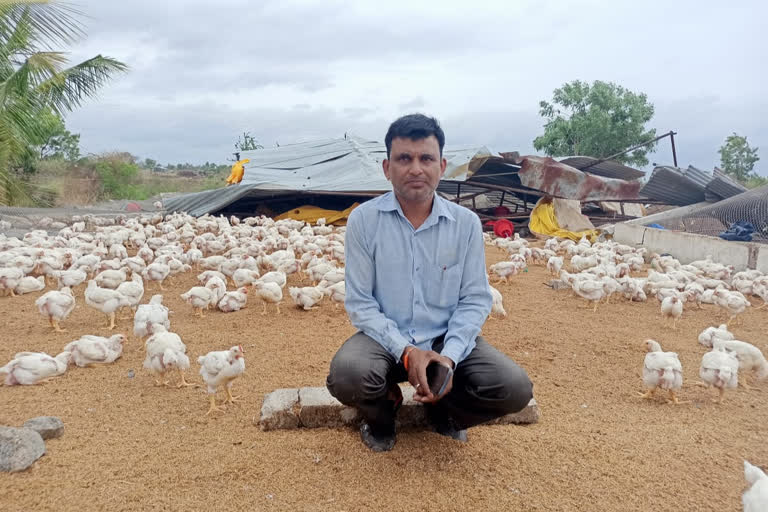 yeola nashik latest news  yeola rain news  yeola poultry farm news  येवला नाशिक लेटेस्ट न्युज  येवल पाऊस बातमी