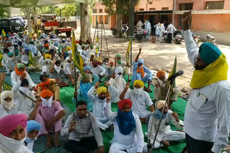 bharati kisan union (ugrahan), mansa, protest, electricity bill on tube wells