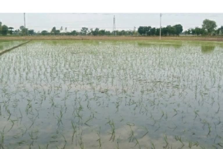 clash between farmers and agriculture officers