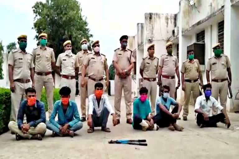 police arrested six people  धौलपुर की खबर  अंतरराज्यीय नकबजन  सोने चांदी के आभूषण बरामद  एसपी मृदुल कच्छावा