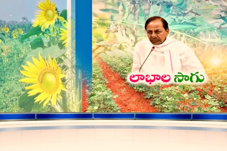 cm kcr review on controlled agriculture system in telanagana