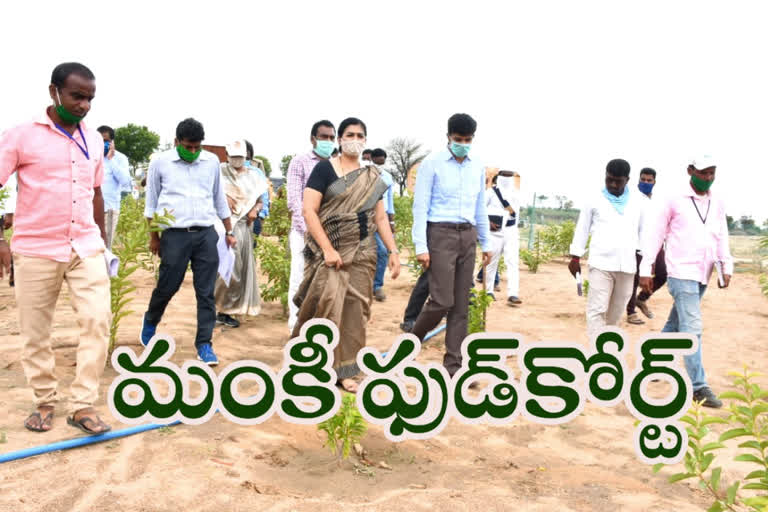 chief minister osd priyanka vargis visited monkey food court in sircilla district