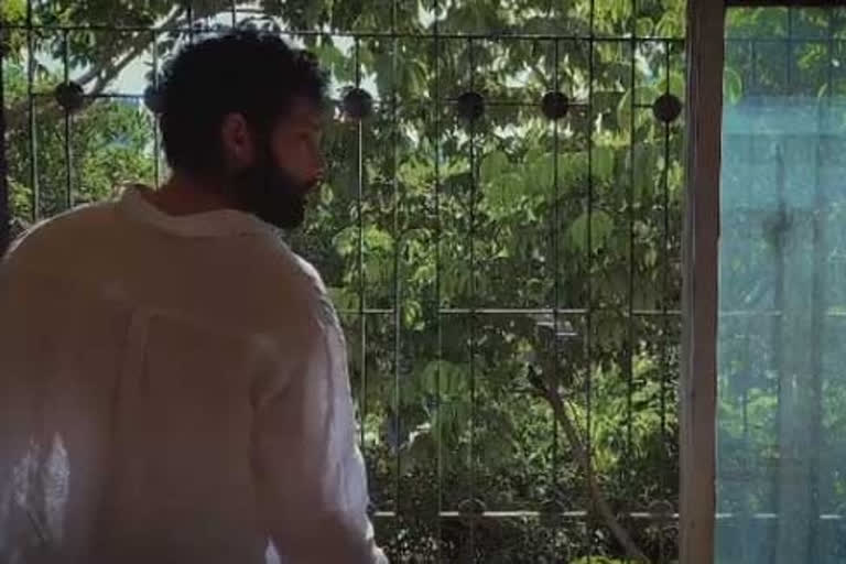 Siddhant Chaturvedi music video