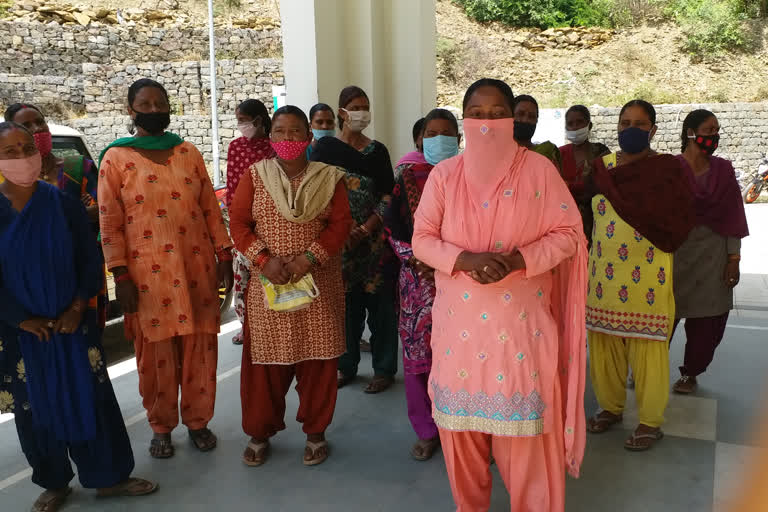 Vegetable carts Women solan