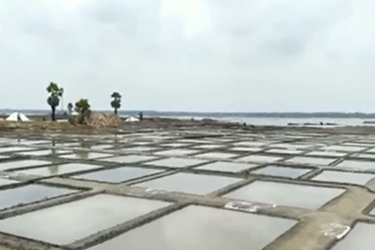 salt pots filled with unexpected rain water