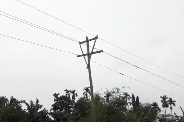 Bambo electricity post in Barpeta