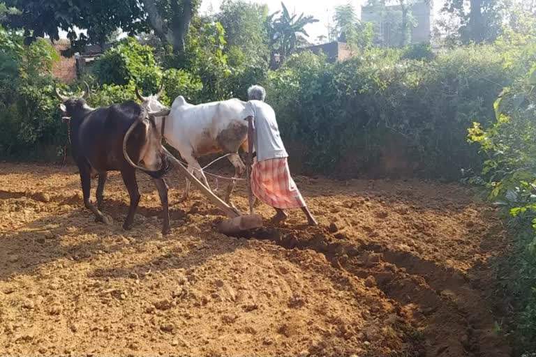 Central government exempts agricultural market in ranchi