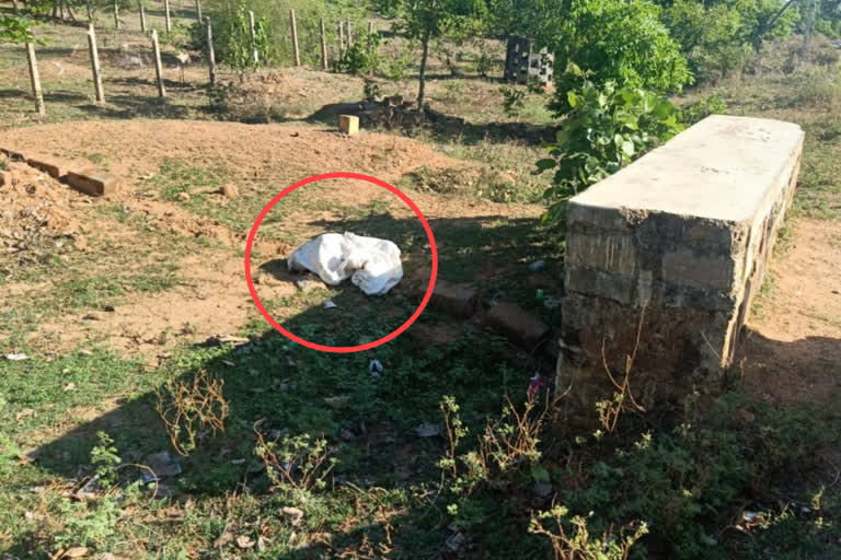 Dog body found in sack