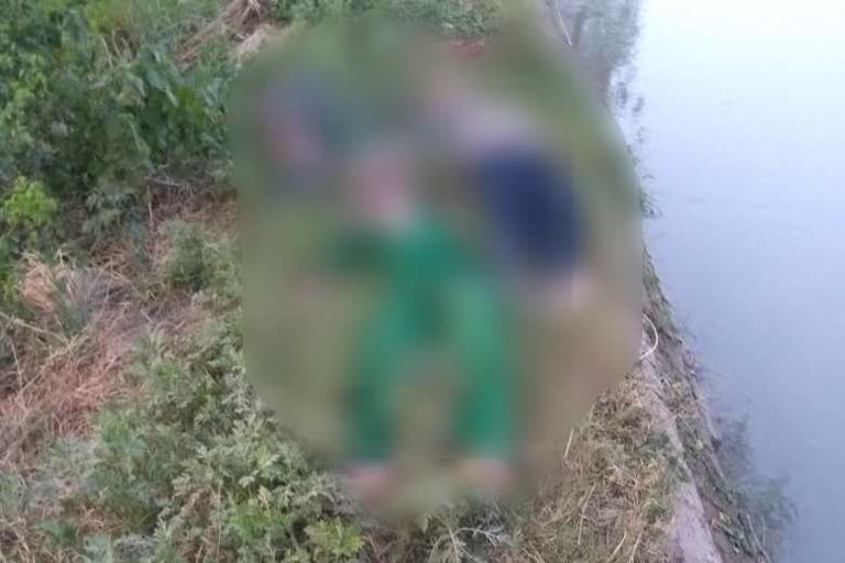 four dead body found floating sirsa nohar feeder canal