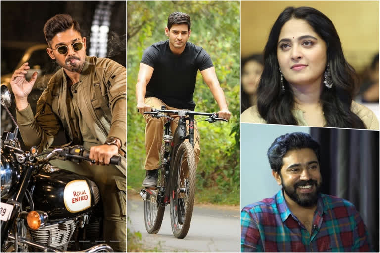 బాలీవుడ్​కు​ నో చెప్పి.. దక్షిణాదికి జైకొట్టి