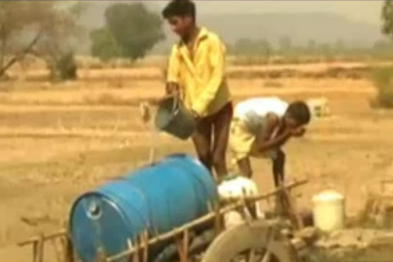 Battling water crisis, men remain unmarried in parched UP village