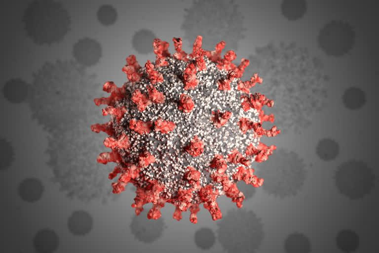 Coronavirus outbreak