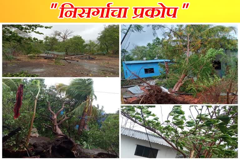 Big damage due to nisarga cyclone in Raigad district