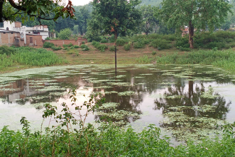 The effect of lockdown on Ganga Dussehra in surajpur