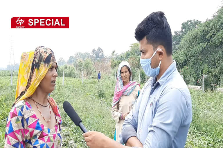 Women laborers happy to get work on farms in muradnagar ghaziabad due unlock 1