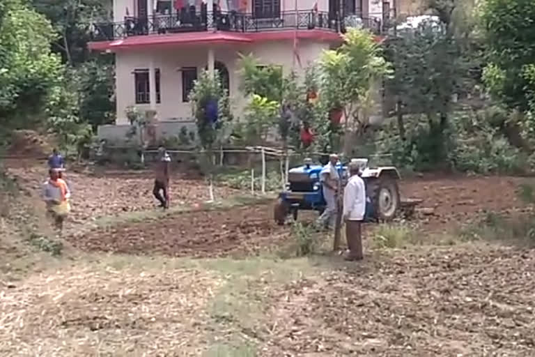 Sowing of crops in hamirpur