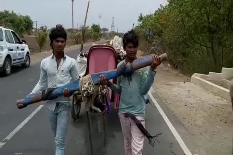 two-brothers-took-the-place-of-bulls-in-bullock-cart-at-ujjain-of-mp