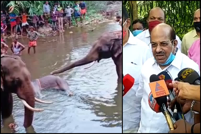 തിരുവനന്തപുരം  ആന കൊല്ലപ്പെട്ട സംഭവം'  വംശീയകലാപം  കൊടിയേരി