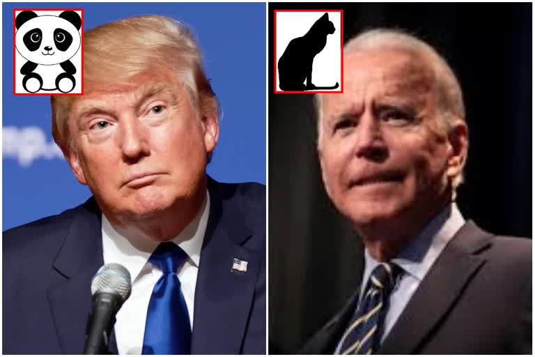 Chinese, Iranian hackers targeting Trump, Biden campaigns: Google