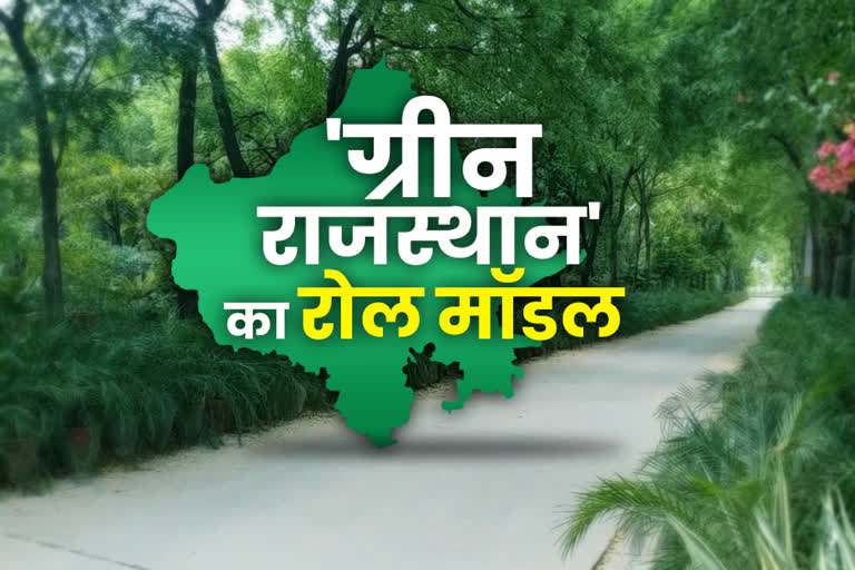 world environment day , राजस्थान न्यूज, हिंदी न्यूज, भीलवाड़ा न्यूज