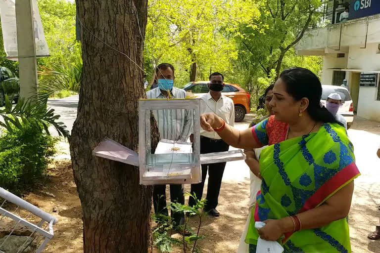 Adilabad Court Chief Judge Participated In Environment Day