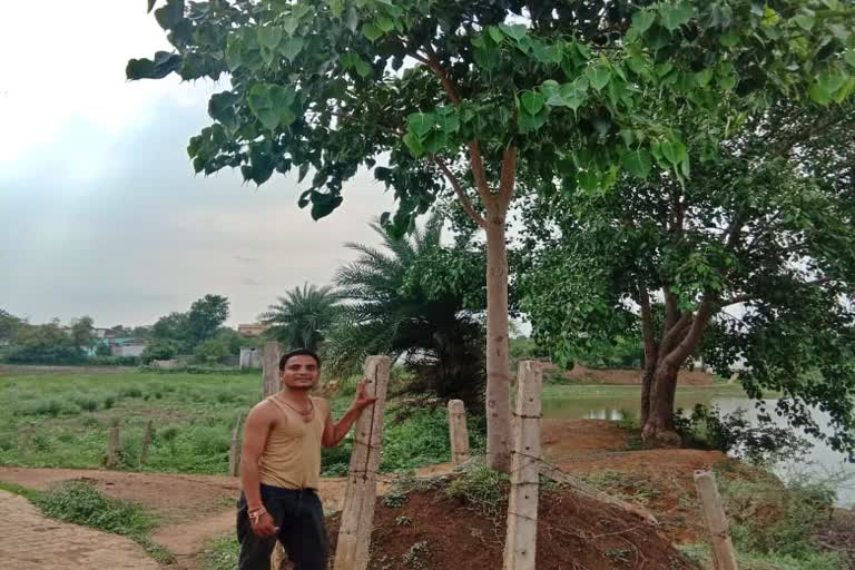 man-planted-more-than-100-plants-in-8-years-in-arang-raipur