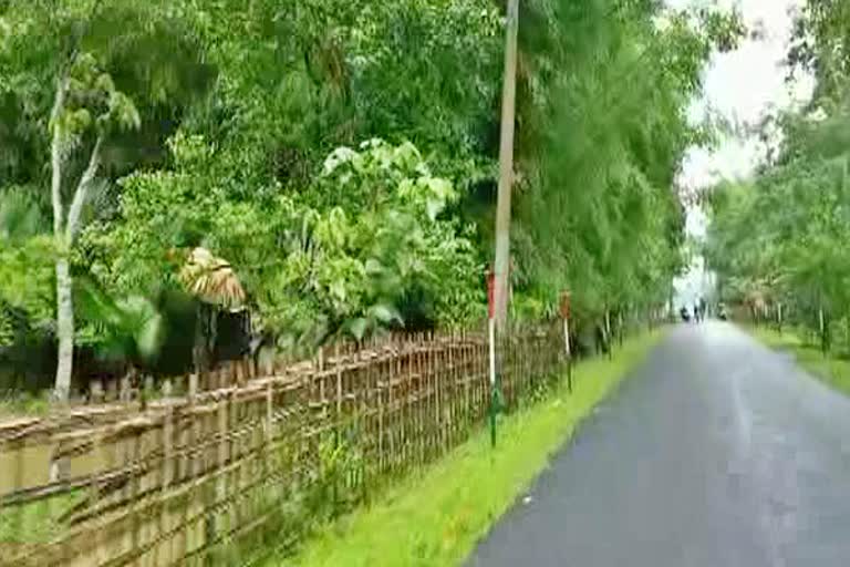 A boy from naharkatia dibrugarh prepared from one month to celebrate world environment day assam etv bharat news