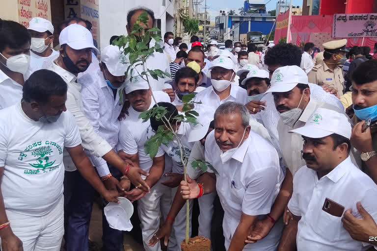 world environmental day celebration