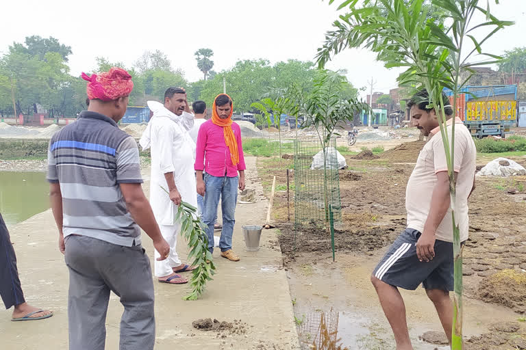 plantation done on the banks of the pond on world environment day in rohtas